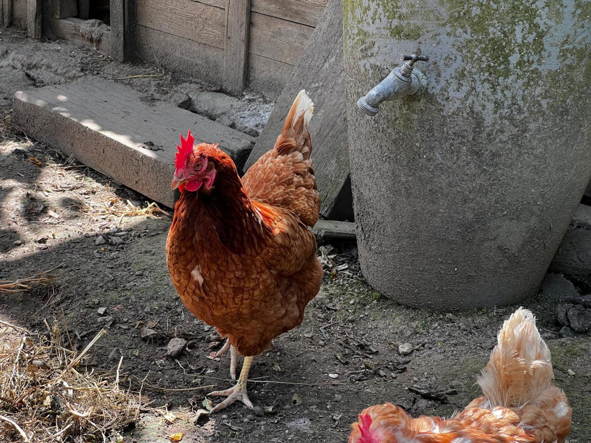 A La Ferme De Thilloy Bed & Breakfast Ligny-Thilloy Bagian luar foto